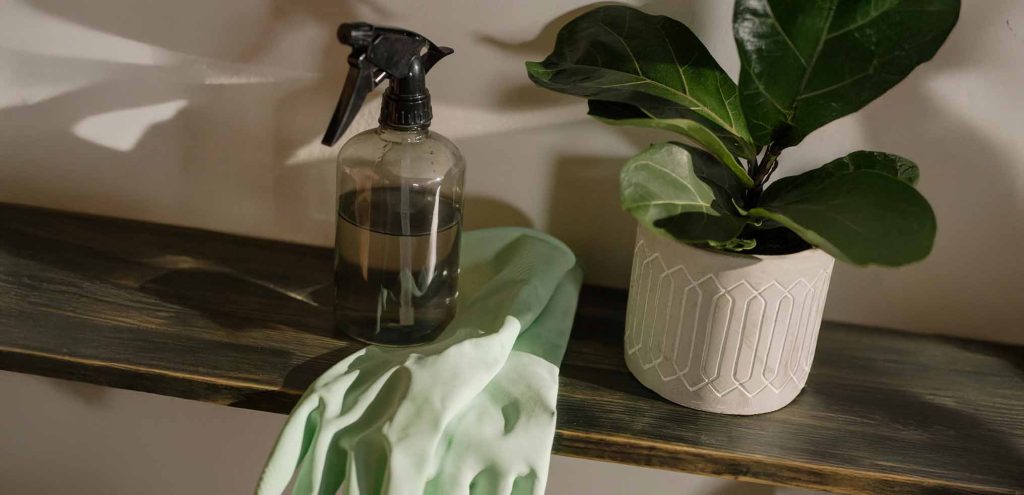 Trucos de limpieza: los mejores tips y consejos para tu hogar